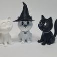 20231029_210919.jpg Halloween Cats - Nice & Evil Cat