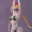 032.jpg Cammy Bikini