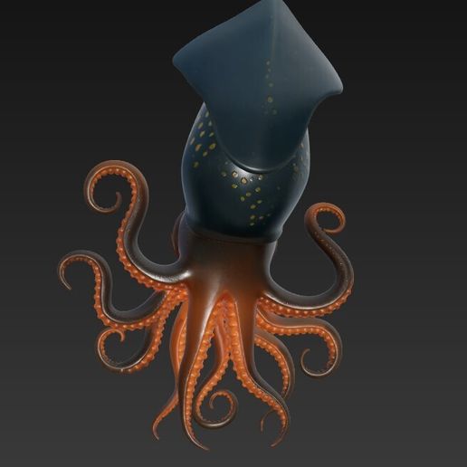 ColossalSquid02.jpg Lebendiger Riesenkalmar