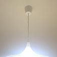 IMG_6304_display_large.JPG Ceiling lamp cup