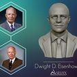 01.jpg Dwight D Eisenhower Portrait Sculpture 3D print model