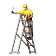 Painter40077.jpg N4 Painter on the Ladder