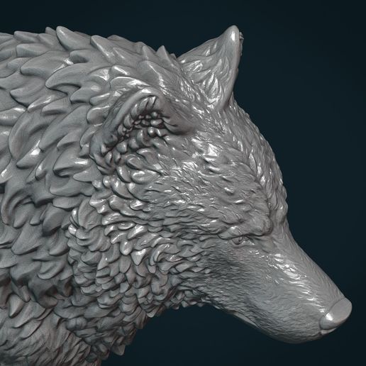 Wolf_IIIx-17.jpg Wolf IV