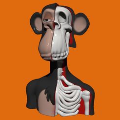 BORED-SKULL1.jpg OBJ file Bored Ape Bust - Anatomy・Template to download and 3D print