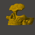 Captura5.png Skull Glasses Holder Celtic