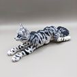 337192060_992723338777372_2196304034814586711_n.jpg Archivo STL Flexi Cat, gatito articulado para imprimir・Modelo imprimible en 3D para descargar