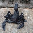 Flexi Print-In-Place Scorpion