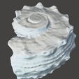 074_Muschel1b.jpg Sea Shell - 3D Scan