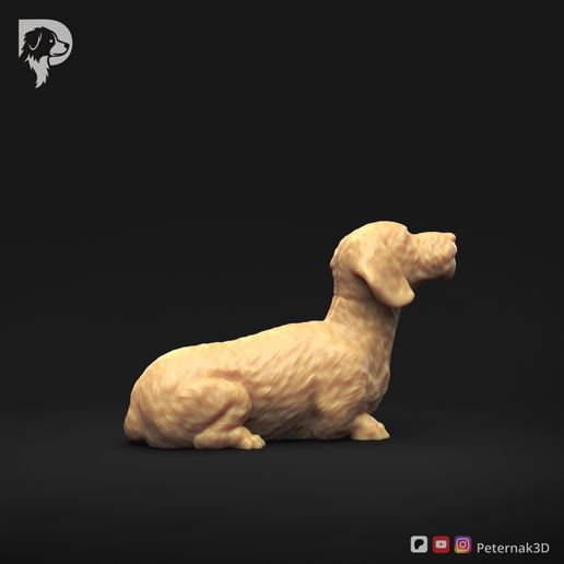 Dachshund-Miniature-Wire-Haired-Pose-08-Dog-3D-Print-3s.jpeg Dackel Miniatur Drahthaar Pose 08