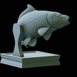 Carp-trophy-statue-29.png fish carp / Cyprinus carpio in motion trophy statue detailed texture for 3d printing