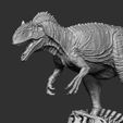 9.jpg Allosaurus