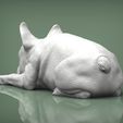 French-Bulldog2.jpg French Bulldog 3D print model