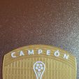 20251128_003530.jpg Parche - Escudo Campeón Copa Sudamericana - Conmebol - Patch - Champion Shield Copa Sudamericana
