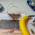 Wall-E Roach