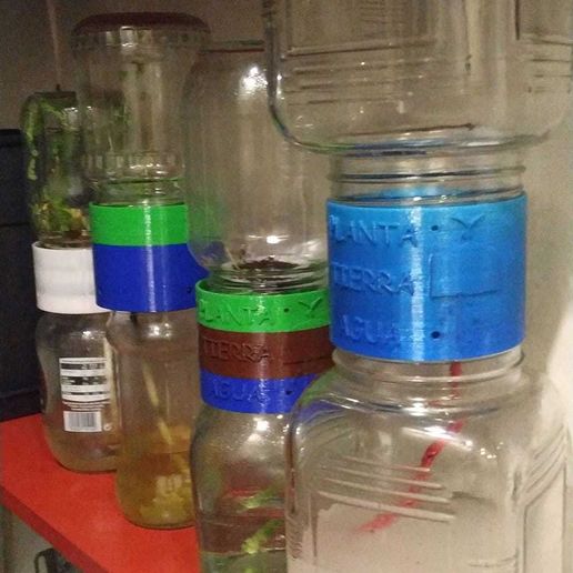 IMG-20200207-WA0039.jpg Capsule Plant