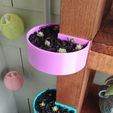 1778582528188.jpg Corner-Mounted Mini Planter / Succulent Pot