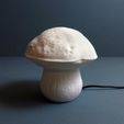 06.jpg Table lamp “Edulis Fungus” organic