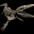 1.png Esqueleto de Mosasaurus