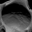 07.jpg 3D PRINTABLE OPEN ALIEN EGG OVOMORPH WITH ROOTS