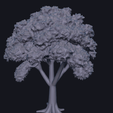 TREE-01.png Pack Of Trees