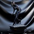 maicon-ricardo-4-1.jpg Batman Returns Catwoman