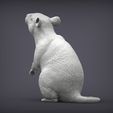 rat3.jpg Rat on hind legs 3D print model
