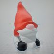 20231205_232255.jpg Christmas Gnomes