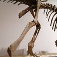 IMG_20220407_202104.jpg Fichier STL Squelette de dinosaure - Psittacosaurus V3・Plan à imprimer en 3D à télécharger, Think3dprint
