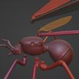 13.jpg Winged Ant