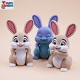 04.jpg Flexi rabbit