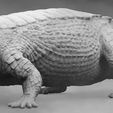 sarcho11.jpg Sarcosuchus