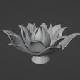 ScreenShot001.jpg Lotus Flower