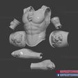 Roman_Muscle_Armor_Tiger_3d_print_file_22.jpg Larp Armor - Classical Tiger Roman Muscle Armor Set Cosplay 3D print model
