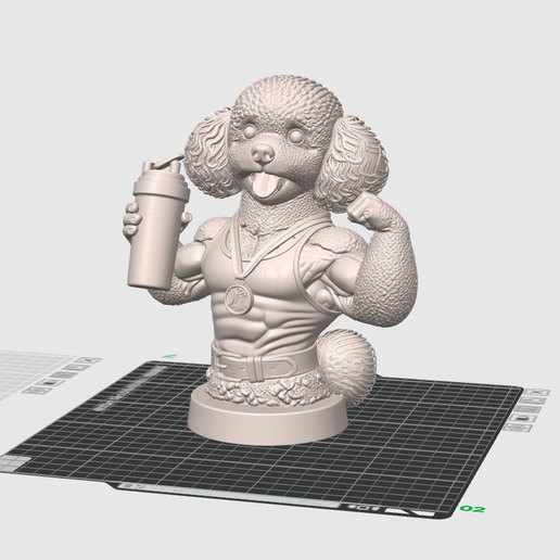 Bodybuilder Toy Poodle Bust STL | Muscular Dog Sculpture | 3D Printable Fitness Dog Statue | Gym Lover Collectible