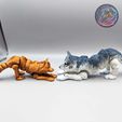 354292292_818976439803816_8151550832916188600_n.jpg Flexi Wolf, Print-in-place, Articulated wolf