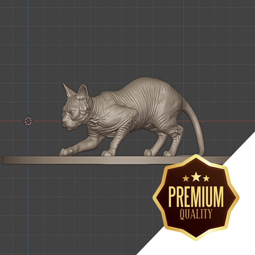 Sphynx cat