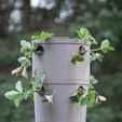 2021-04-10_63457.jpg Super Self Watering Pot