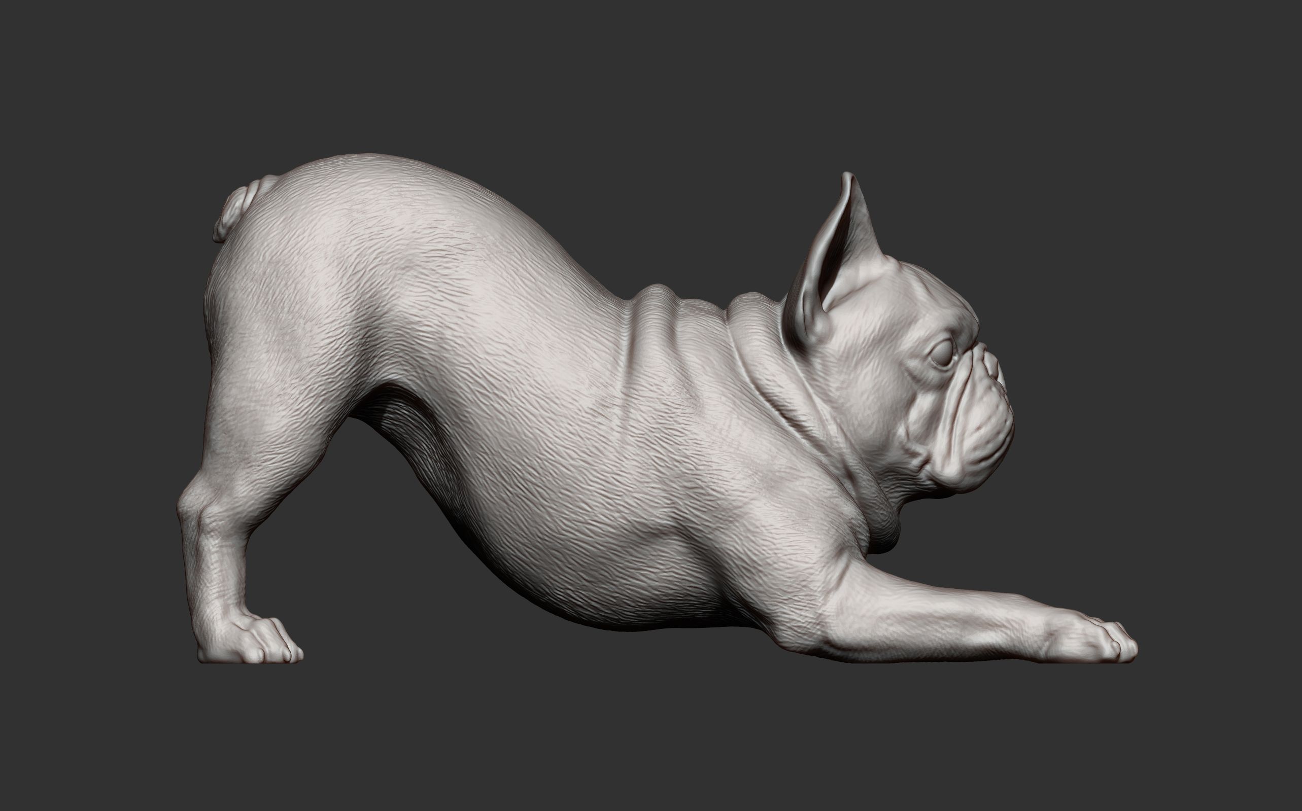 French-Bulldog6.jpg Archivo 3D Modelo de impresión en 3D de un Bulldog Francés・Objeto imprimible en 3D para descargar, akuzmenko