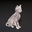 10006.jpg Cat Voronoi