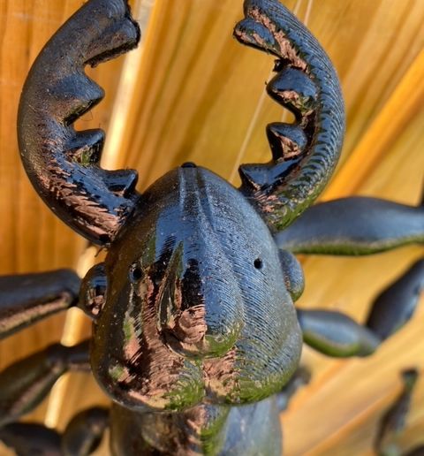 image0.jpeg RIESENANTIE