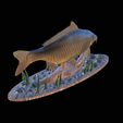 carp-high-quality-klacky-1-5.png big carp 2.0 underwater statue detailed texture for 3d printing