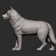 Husky7.jpg Husky 3D printed model