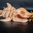 flexisharkskeleton5.png Flexi Skeleton Shark