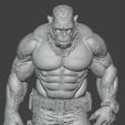 g5.jpg King Kong Fighter Gorilla Warrior