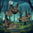 tiny6.png Tiny big eared bat
