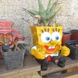 02 BOB ESPONJA MACETA.jpg SPONGEBOB POT