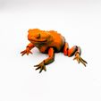 flexi-toad-3D-MODEL-1.jpg Flexi Toad Frog articulated print-in-place no supports