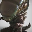 Alien.1281.jpg Alien Chibi version - Chibi monster figurine-Monsterverse