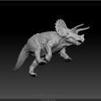 Triceratop02.jpg Triceratops, Dinosaur