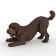 bbb1.jpg Playful Barbet Dog Figure 1/32 Scale for Slot Car Dioramas